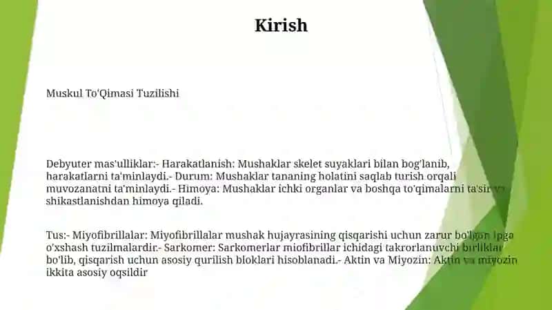 Muskul To'Qimasi Tuzilishi 2