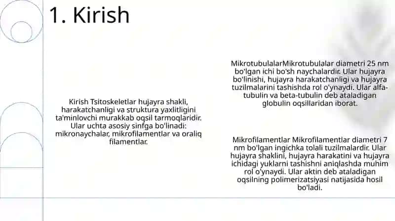 Hujayra Sitoskeletining Strukturaviy Va Funksional Tashkil Etilishi 2