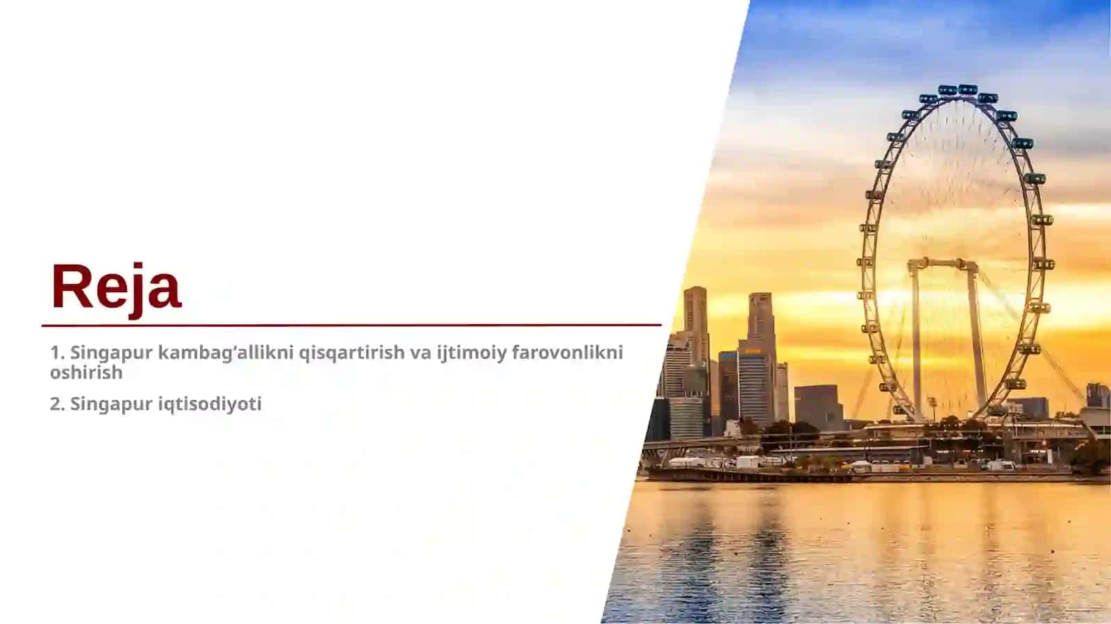 Singapur kambagʻallikni qisqartirish va ijtimoiy farovonlikni oshirish yo’llari 2