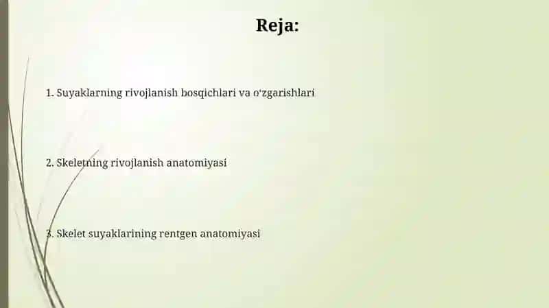 Skelet suyaklarning rentgenanatomiyasi.Skeletni rivojlanish anamiliyasi 2