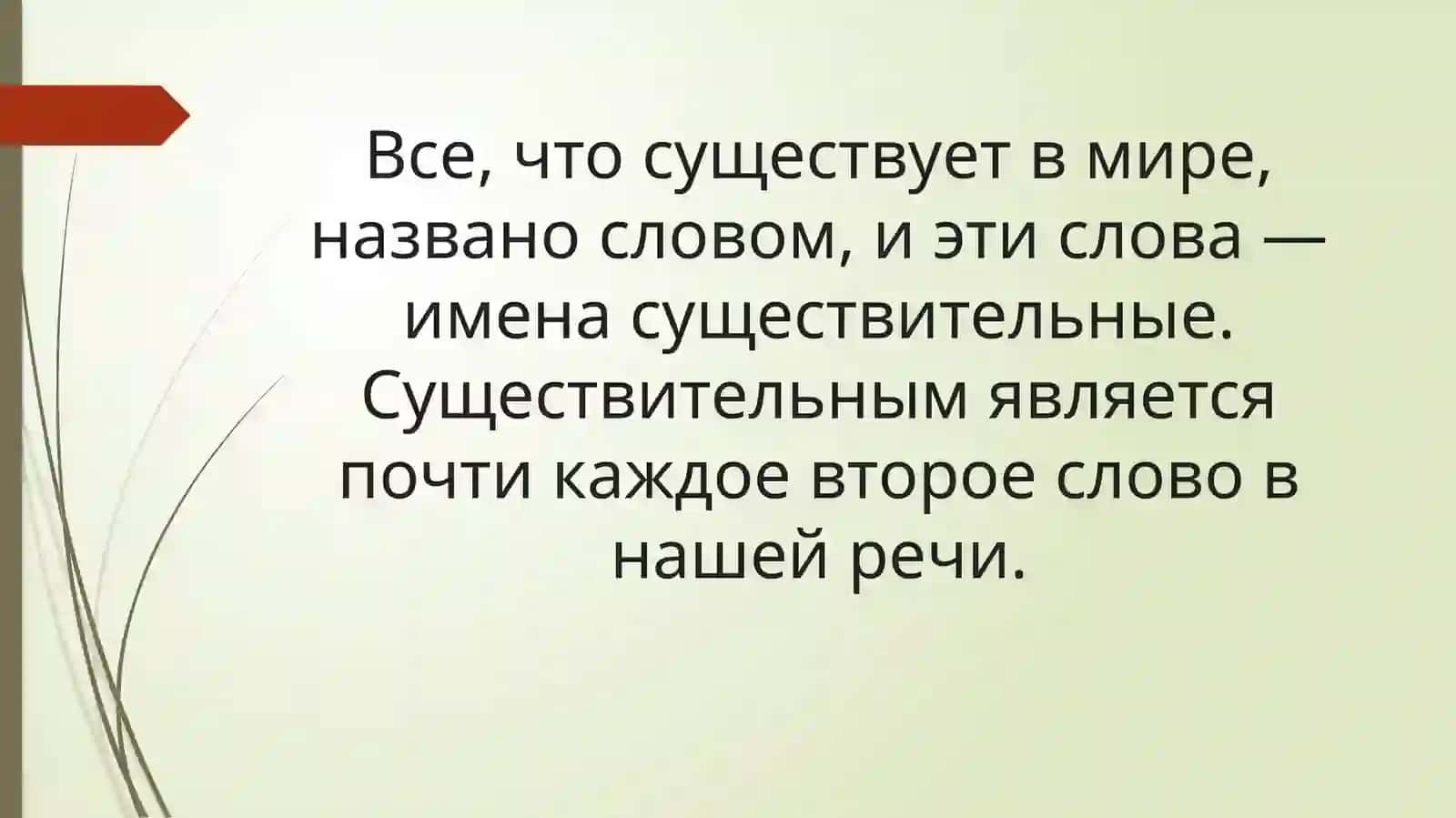 Имя существительное 2