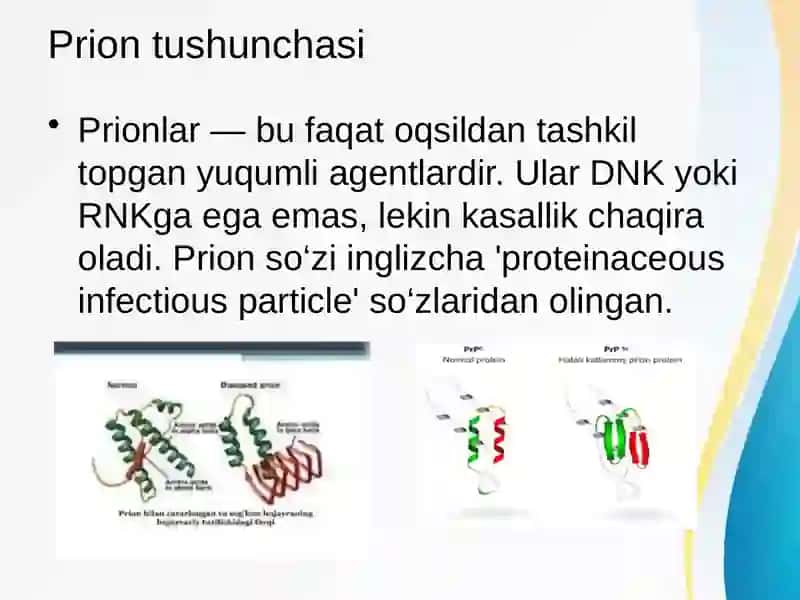 Prionlarning amaliyotdagi ahamiyati 2