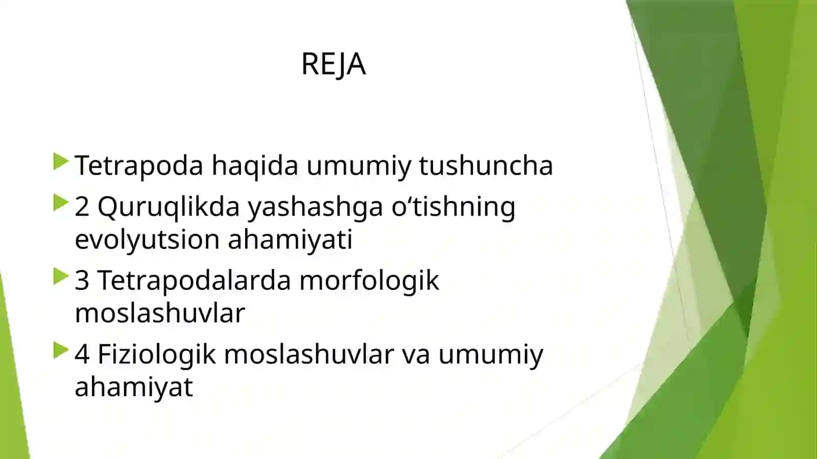 Tetrapodakattasinfigamansubhayvonlarningquruqlikdayashashinita’minlovchimorfofiziologikbelgivaxususiyatlar 2