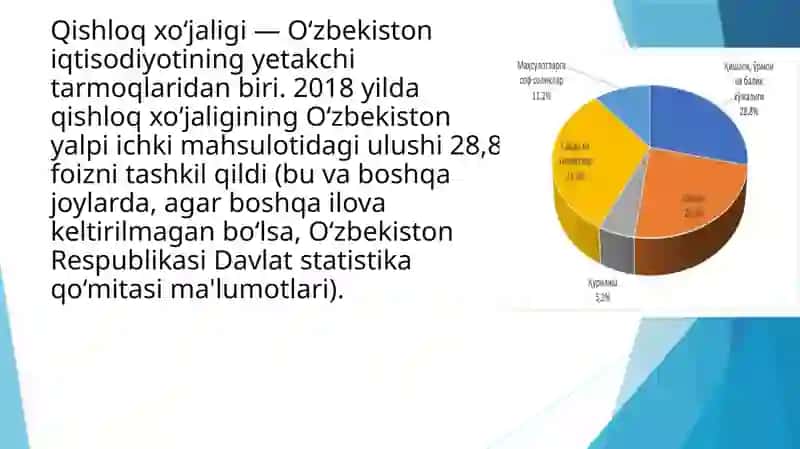 O’zbekiston iqtisodiyoti sharoitida agrar islohatlarning ahamiyati 2