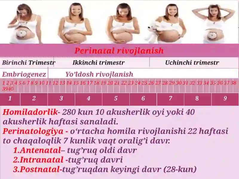 Homiladorlik fiziologik o'zgarishlar 2