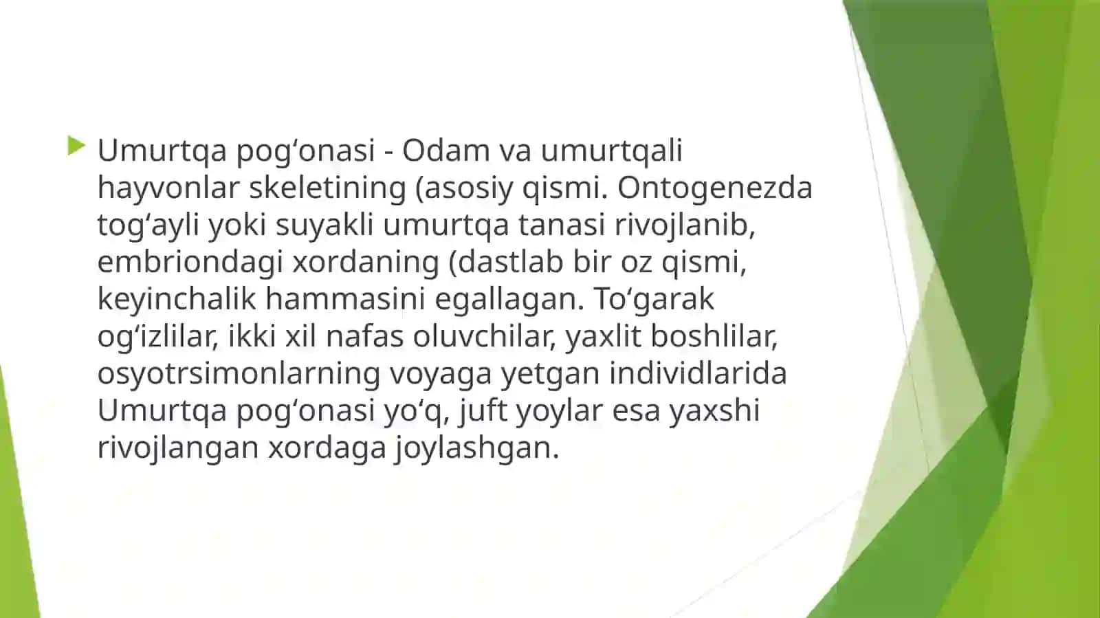 Umurtqatug'maanomaliyalari 2