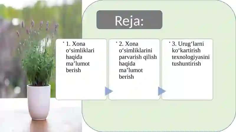 Xona o‘simliklarini parvarish qilish. Gullarni ko'chat qilib ko‘kartirish texnologiyasi 2