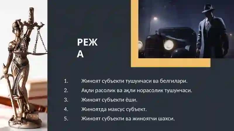 Жиноят субъекти 2