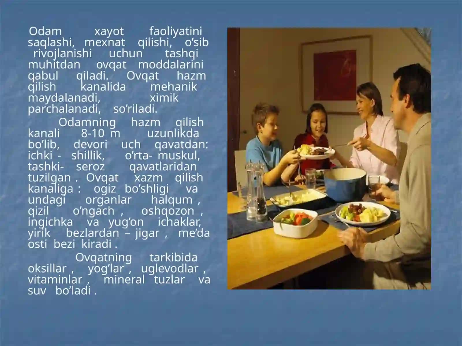 Ovqat hazm qilish tizimi 2