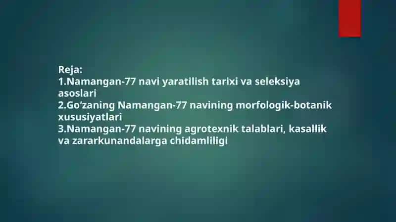 Go‘zaning Namangan-77 navi 2