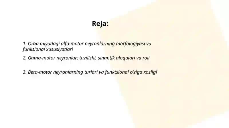 Orqa miyyaning harakatlantiruvchi neyronlarining turlari, ularning morfofunksional xususiyatlari 2