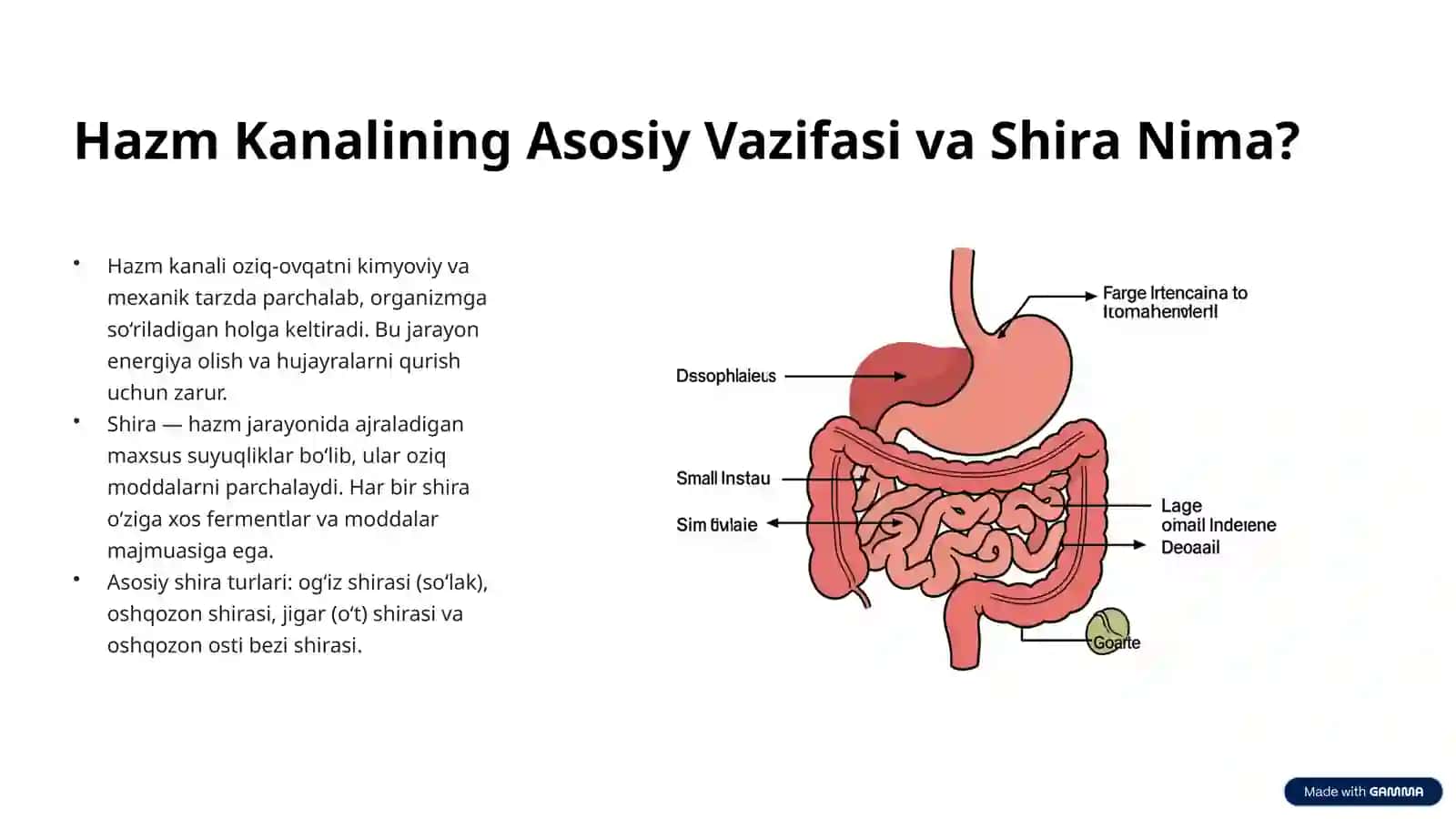Hazm Kanalidagi Shiralarning Tarkibini Aniqlash, Ajratib Olish va Tekshirish 2