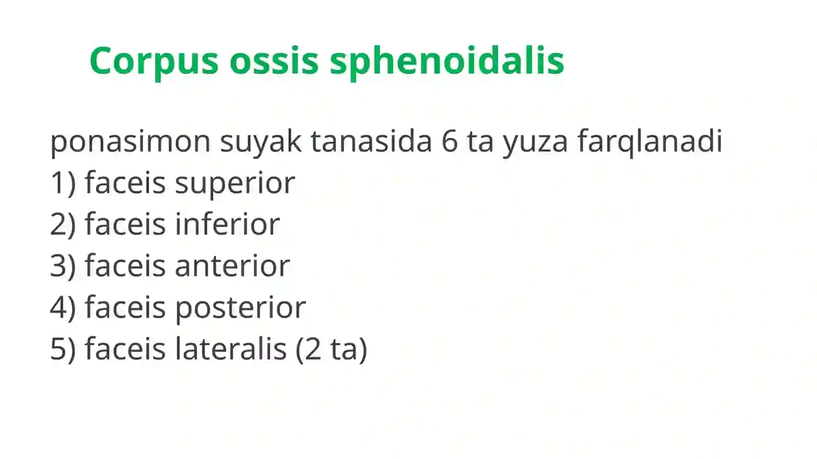 Ponasimon suyak (os sphenoidalis) 2