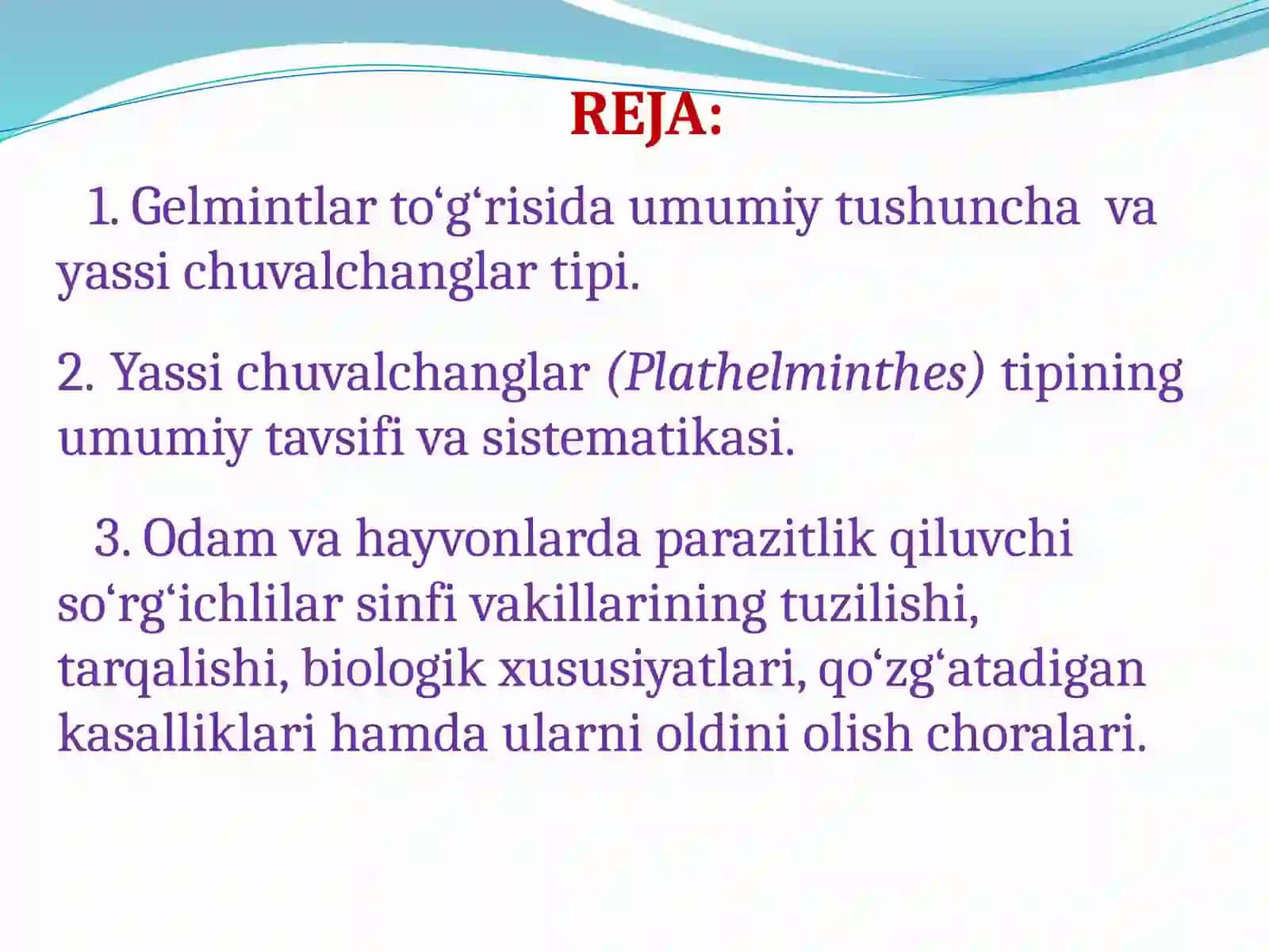 Yassi chuvalchanglar (Plathelminthes) tipi 2