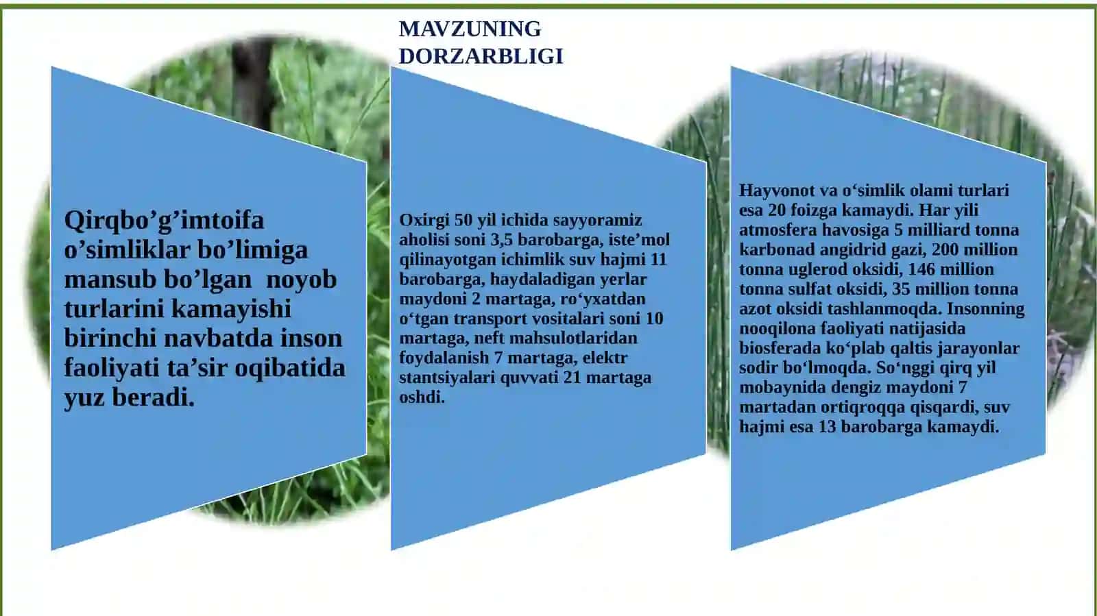 QIRQBO'G'IMTOIFA (EQUISETOPHYTA) O'SIMLIKLAR BO'LIMI EVOLUTSIYASI,ASOSIY SINF VA VAKILLARI, TUZILISHI,AHAMIYATI 2