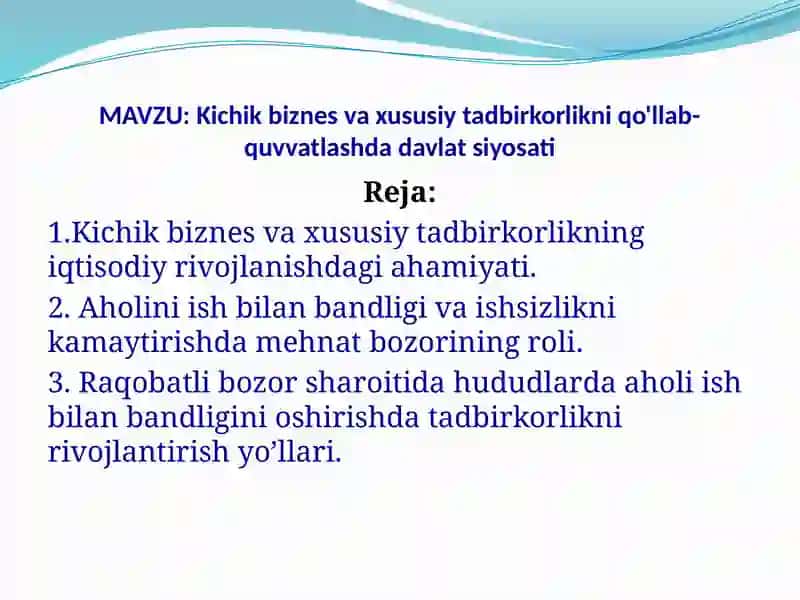 Kichik biznes va xususiy tadbirkorlikni qo'llab-quvvatlash 2