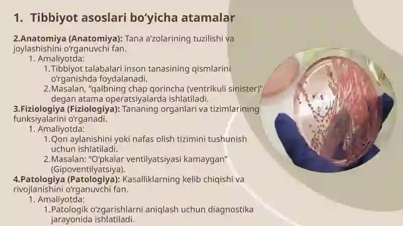 Tibbiyot 2