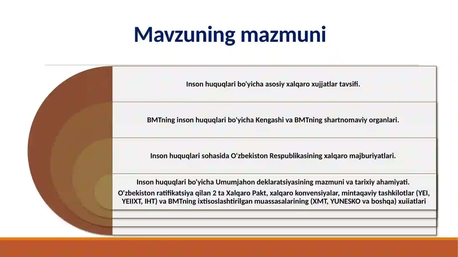 Inson huquqlarini himoya qilish xalqaro mexanizmi 2