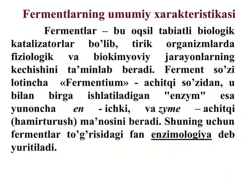 Fermentlar 2