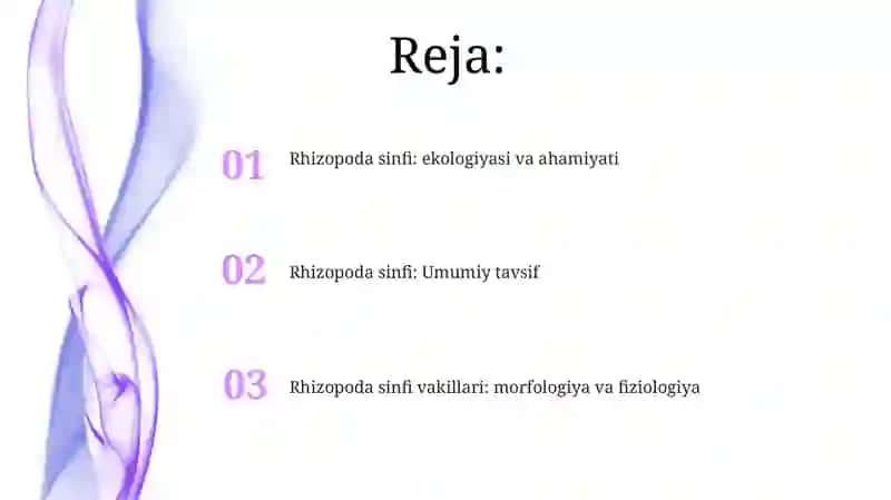Rhizopoda sinfi: ekologiyasi va ahamiyati 2