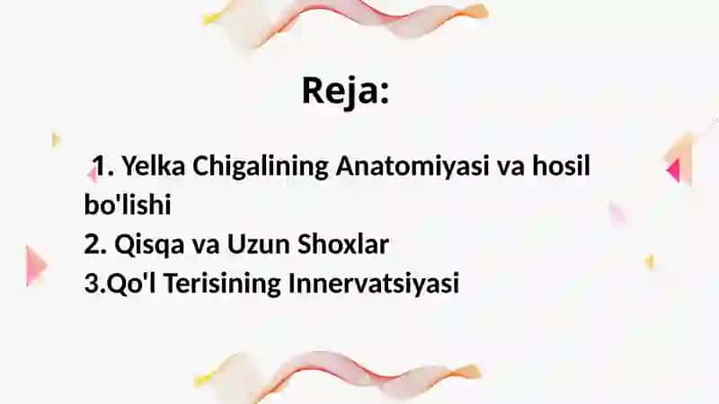 Yelka chigalining hosil bo'lishi va uning qisqa shoxlari.Yelka chigalining uzun shoxlari.Qo'l terisining innervatsiyasi. 2