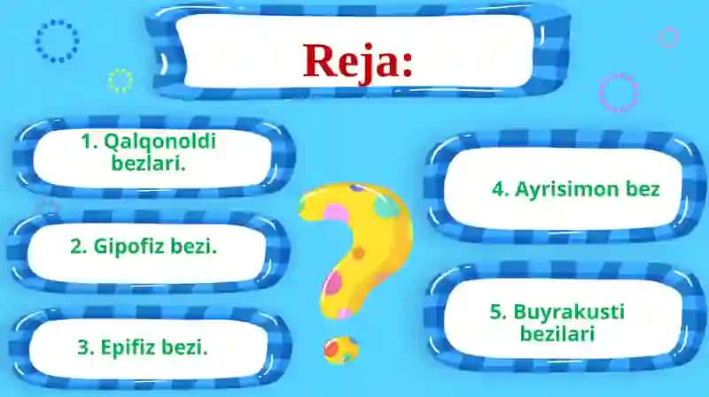 Qalqonoldi, gipofiz, ayrisimon bez, buyrakusti bezlari, ularning tuzilishi va funksiyasi 2