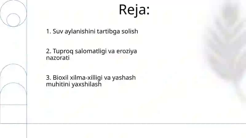 Yer yuzini qoplovchi o'simliklar (YYO) 2