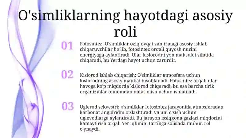 O’Simliklar Organizmlar Tuzilishi 2