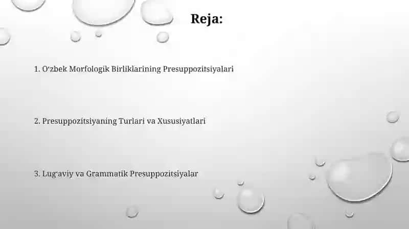 Oʻzbek tili morfologik birliklarining presuppozitsiyasi 2