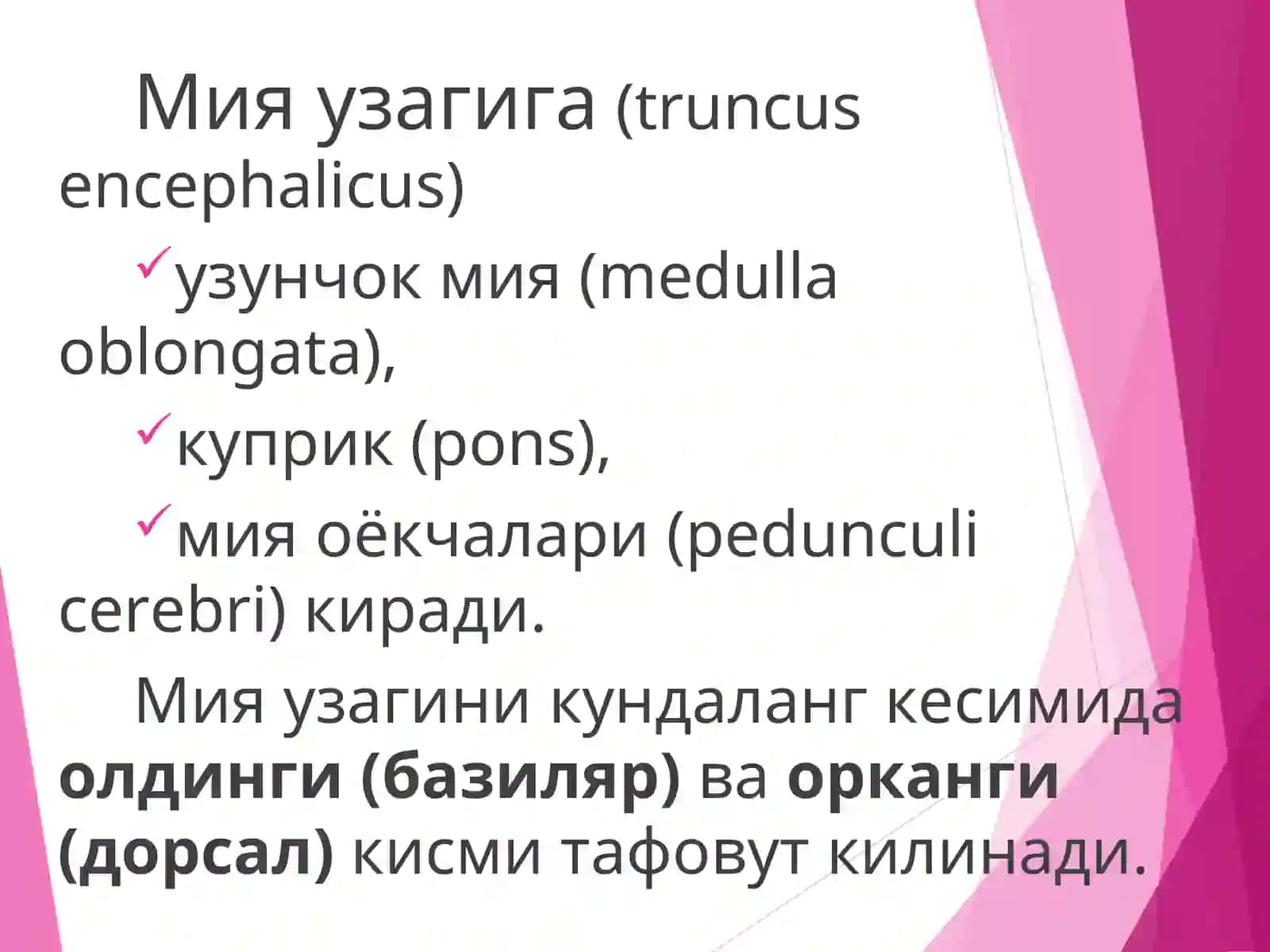 Мия устуни 2