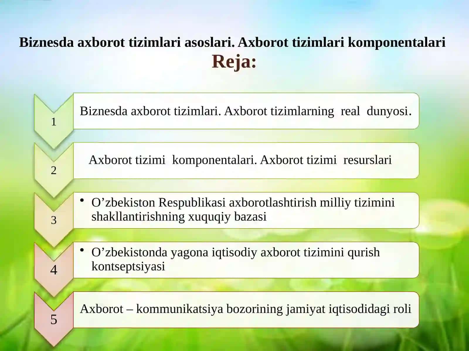 Biznesda axborot tizimlari asoslari. Axborot tizimlari komponentalari 2