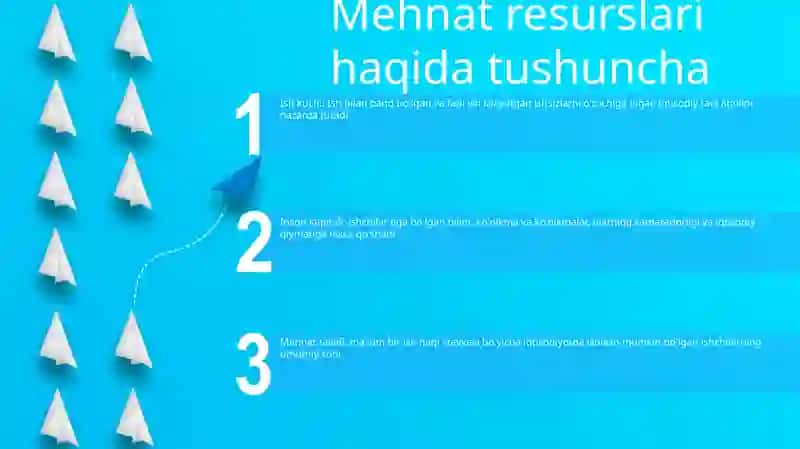 Mehnat Resurslari 2