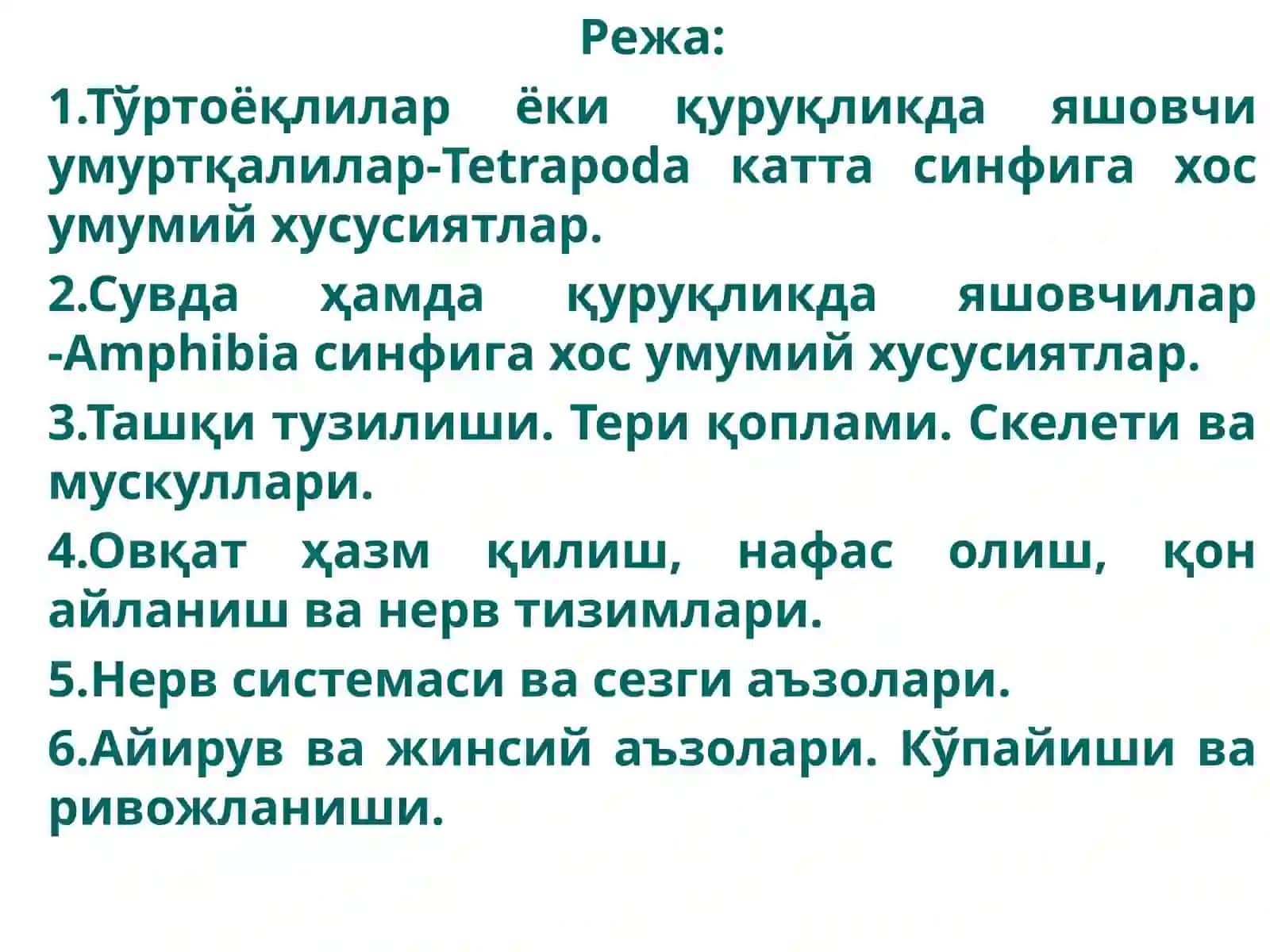Тўртоёқлилар ёки қуруқликда яшовчи умуртқалилар-Tetrapoda катта синфи 2
