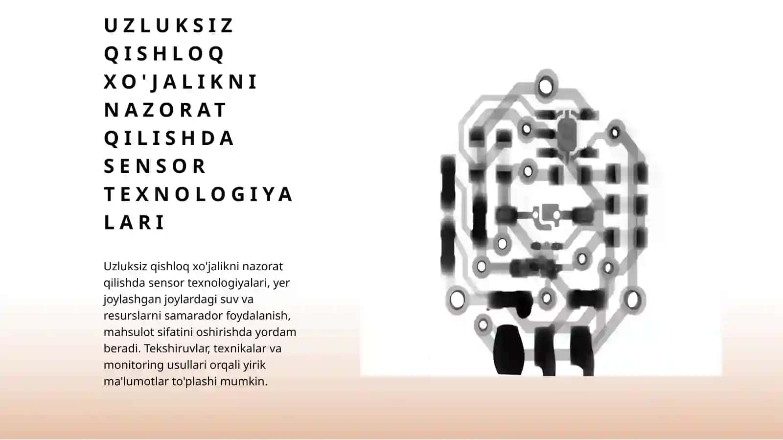 QISHLOQ XO’JALIGI YERLARI MONITORINGI 2