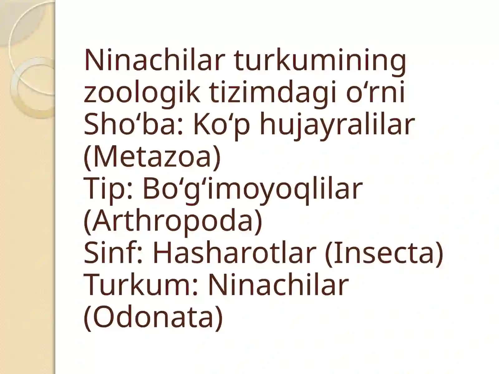 Ninachilar 2