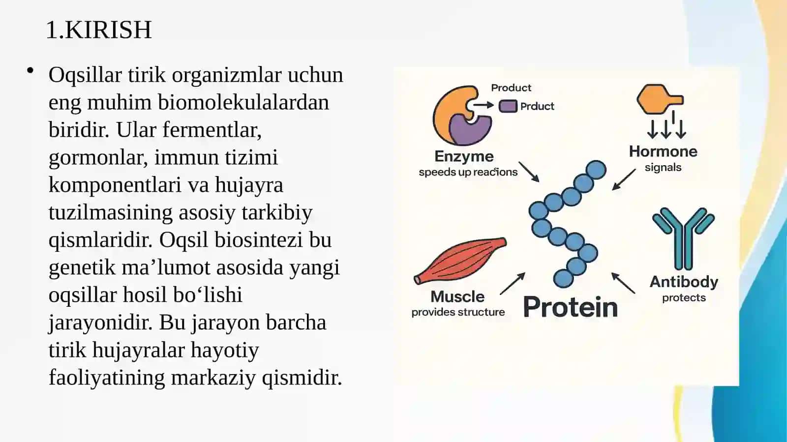 Oqsil biosintezi 2