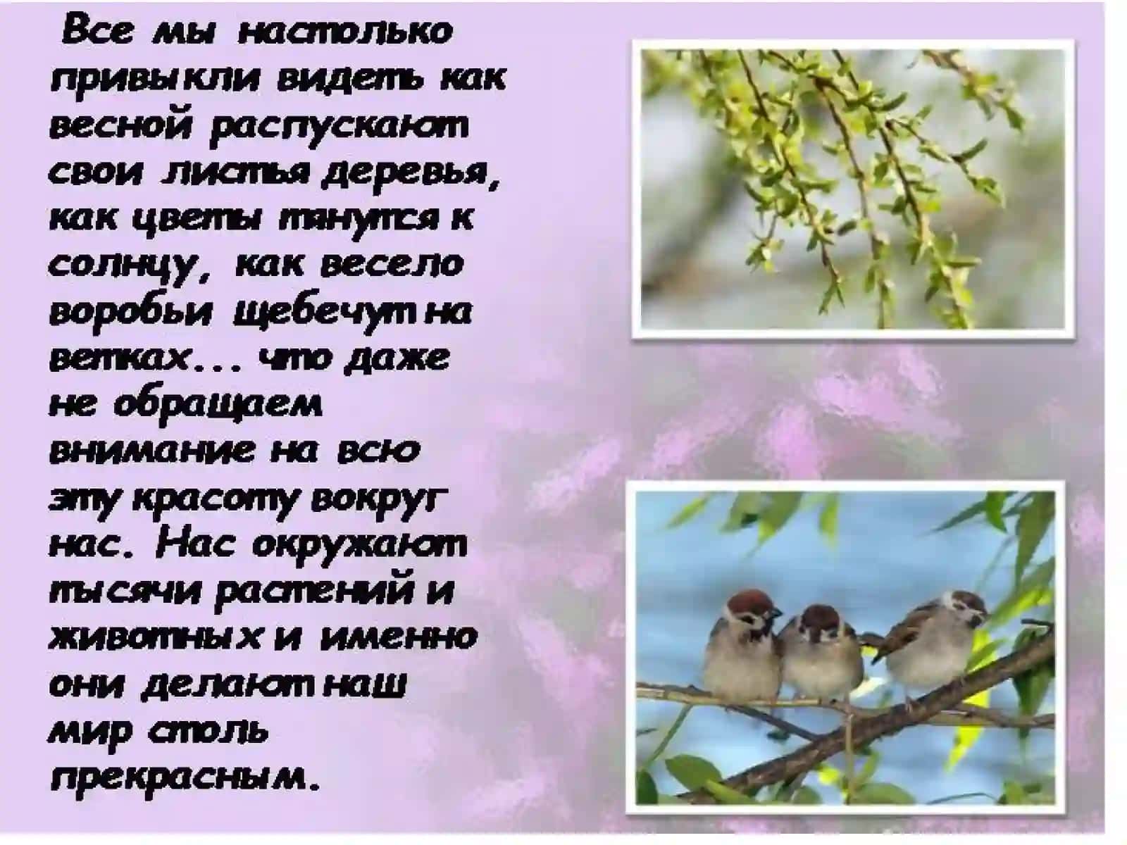 Флора и фауна 2