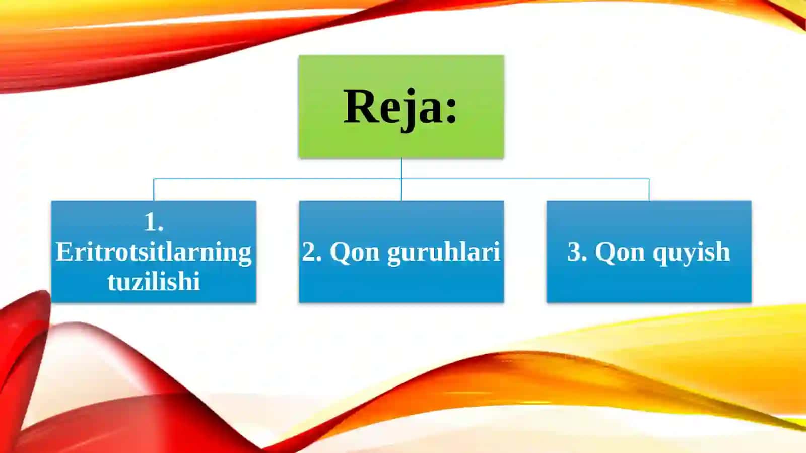 Eritrotsitlar 2