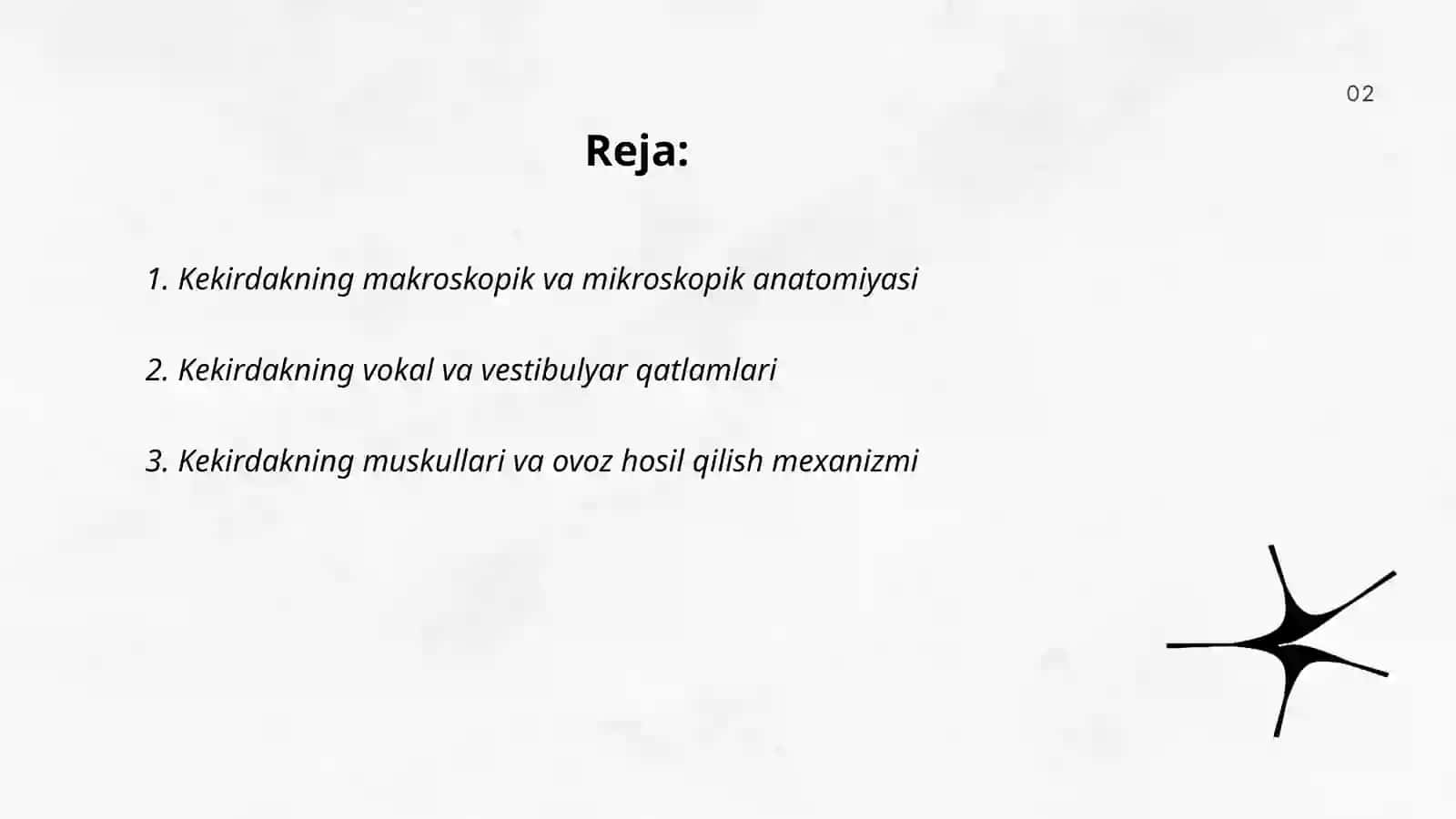 Kekirdak. O'pka: funsional va topografik anatomiyasi 2