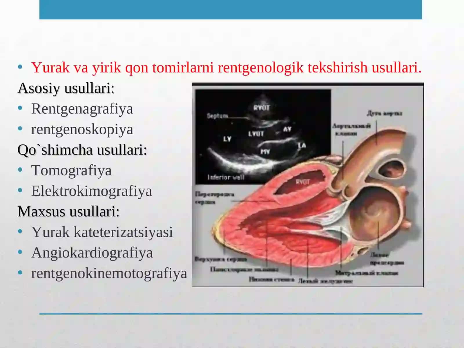 Yurak va yirik qon tomirlar kasalliklarining kompleks nur diagnostikasi 2
