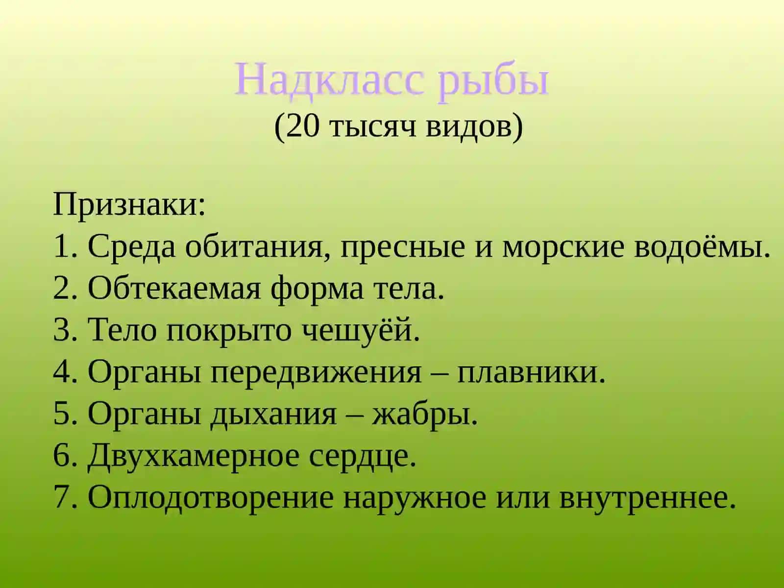 Класс рыб 2