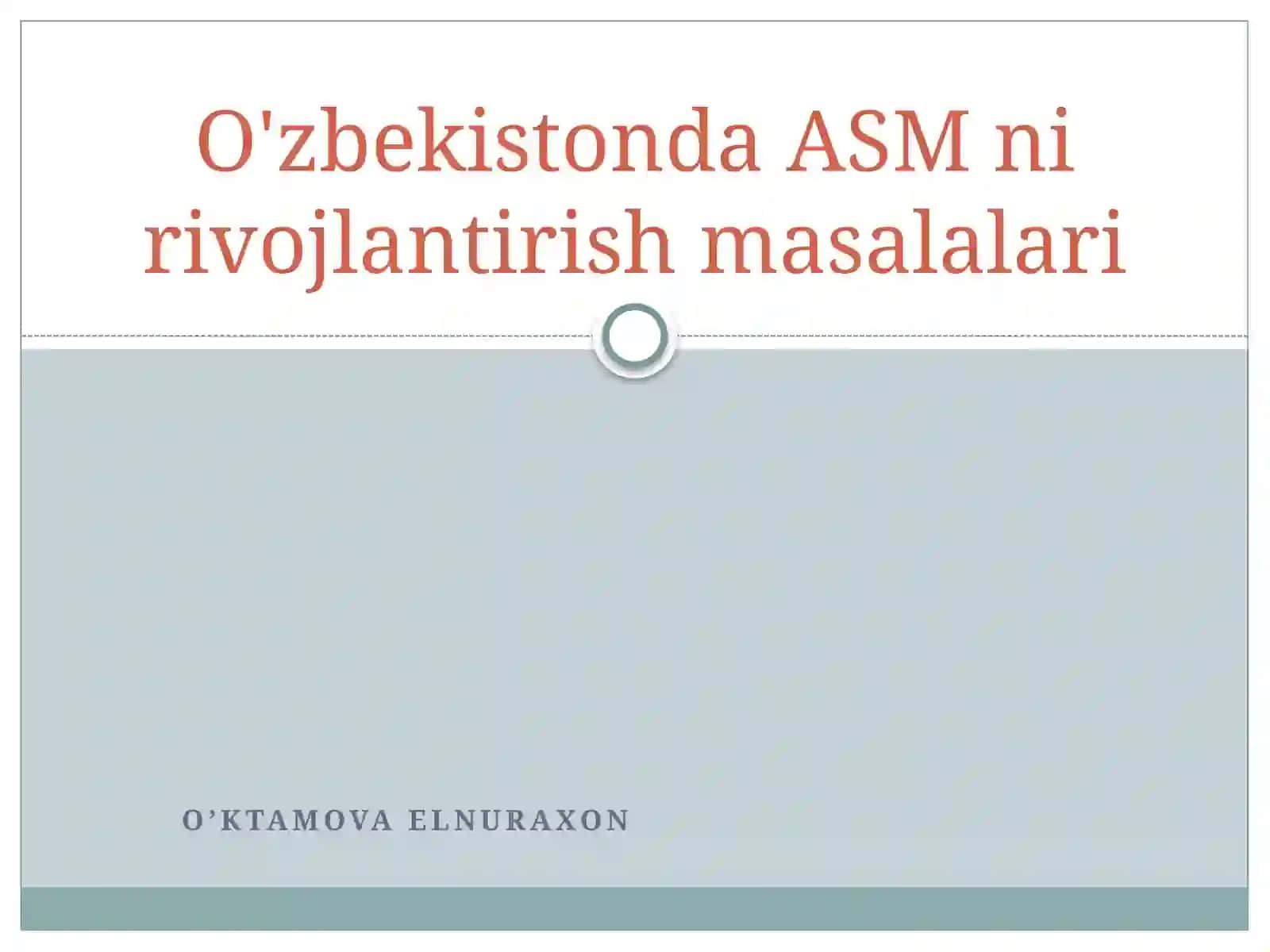 O'zbekistonda ASM ni rivojlantirish masalalari 2