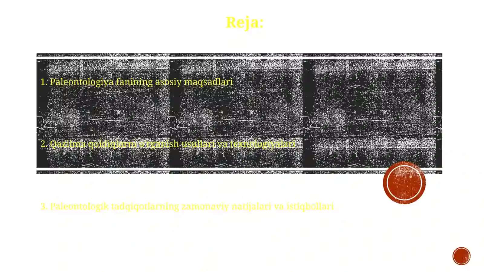 Paleontologiya fanining asosiy maqsadlari 2