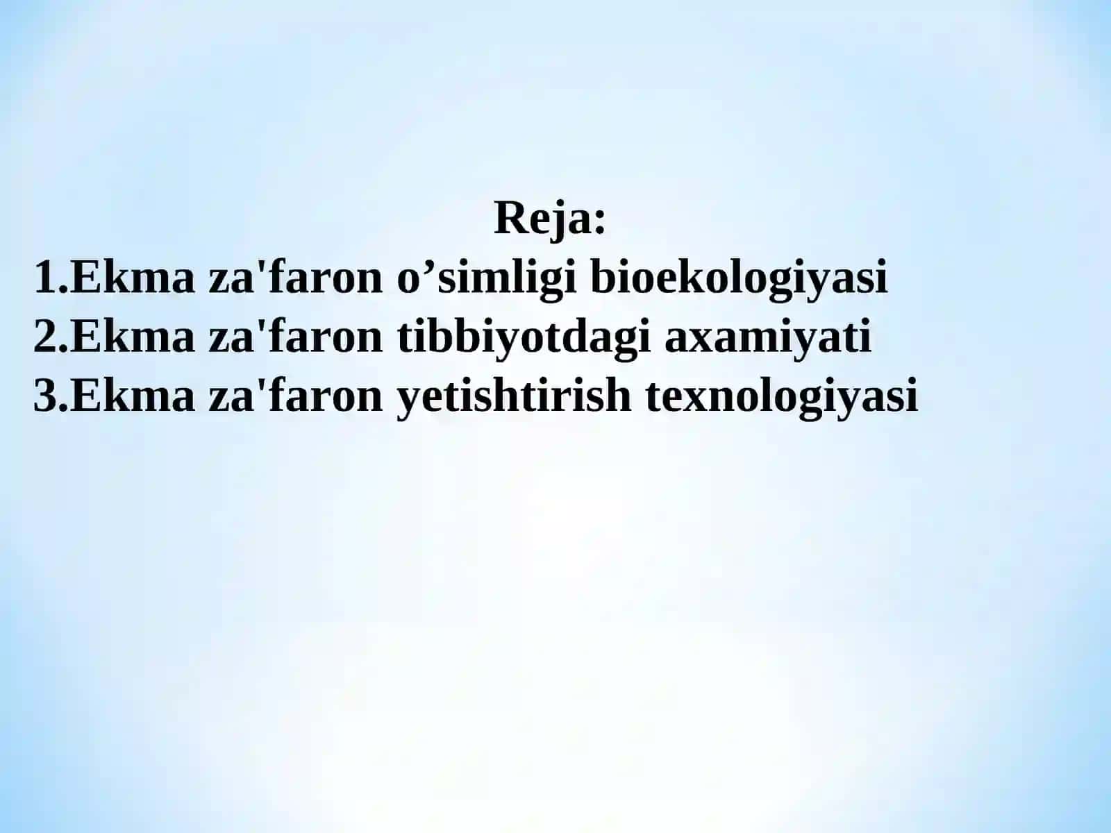 Ekma za'faron o‘simliklarini yetishtirish texnologiyasi 2