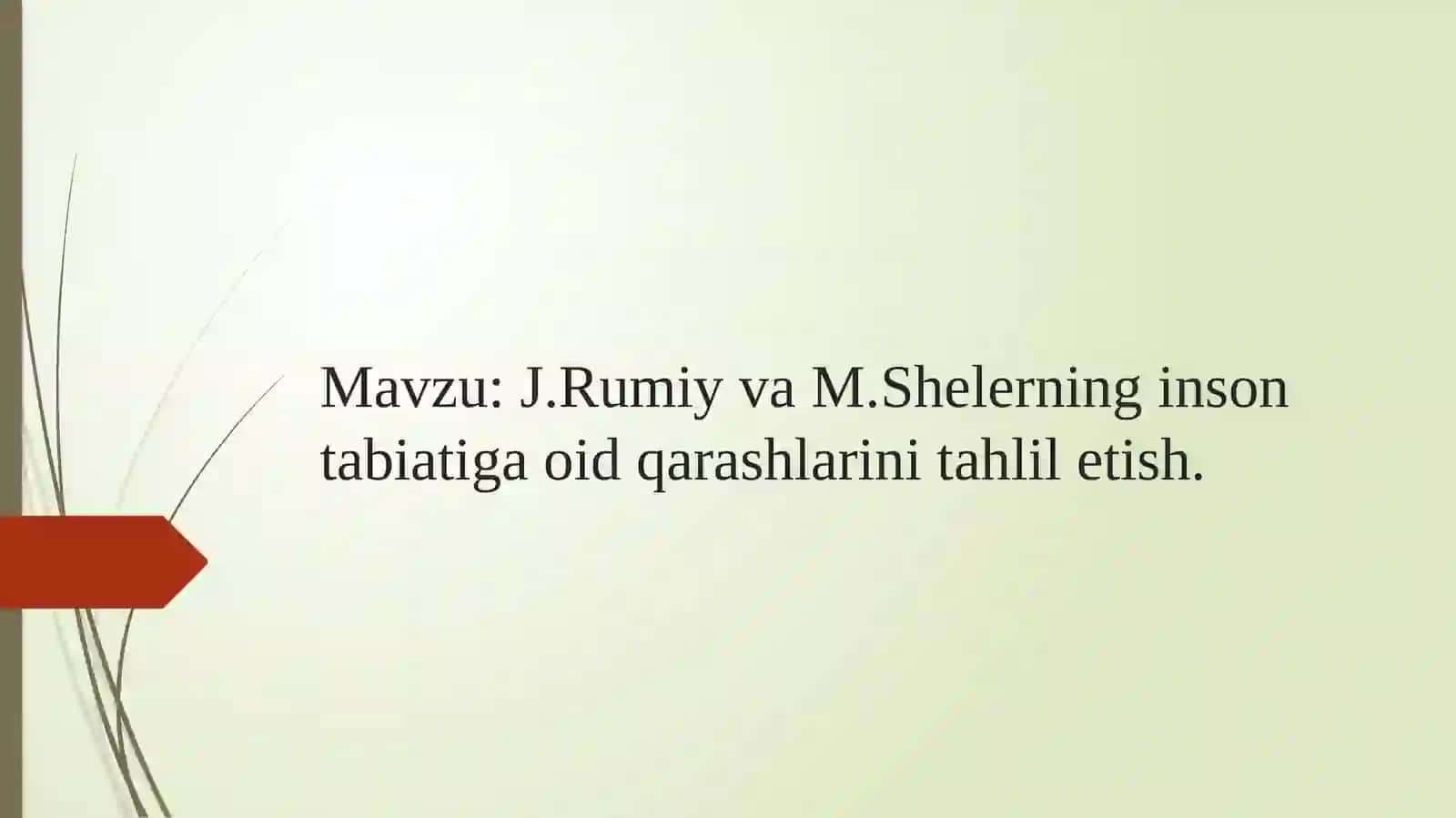 J.Rumiy va M.Shelerning insontabiatiga oid qarashlarini tahlil etish 2