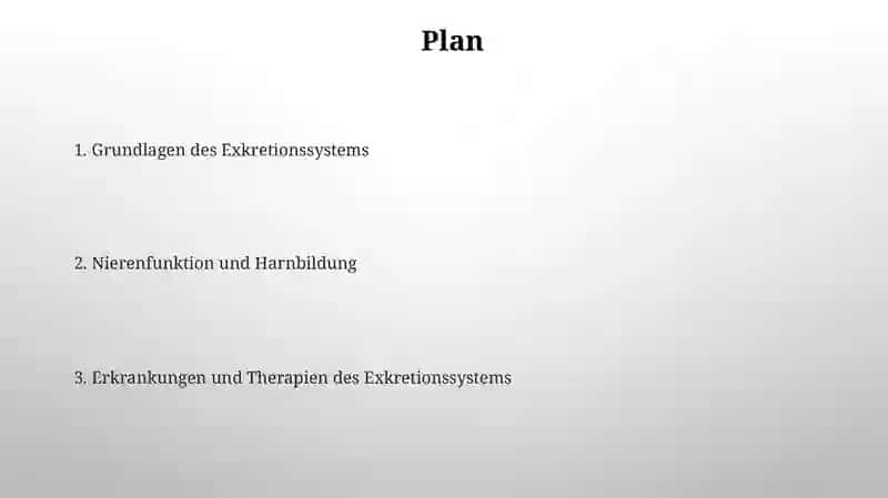 Das Ausscheidungssystem: Einblick in die menschliche Physiologie 2