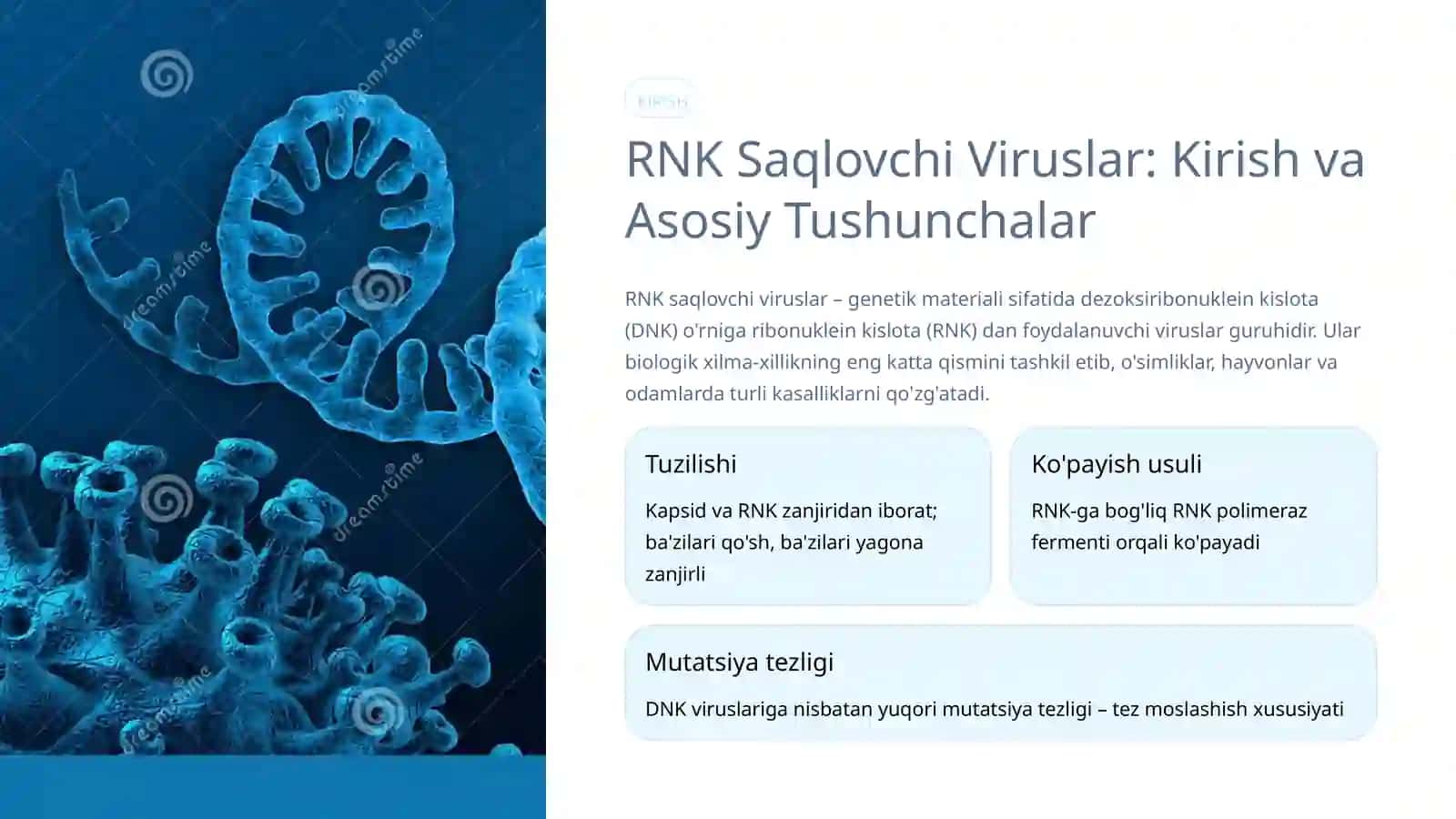Rnk Saqlovchi Viruslar – Tahlil va Ularning O'simliklar va Hayvonlar Sog'lig'iga Ta'siri 2