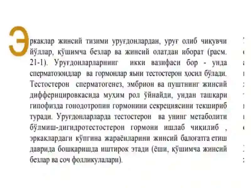 Erkaklar jinsiys sistema g'istalogiyasi 2