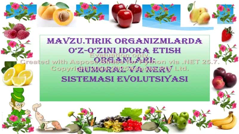 TIRIK ORGANIZMLARDA O‘Z-O‘ZINI IDORA ETISH ORGANLARI: GUMORAL VA NERV SISTEMASI EVOLUTSIYASI 2