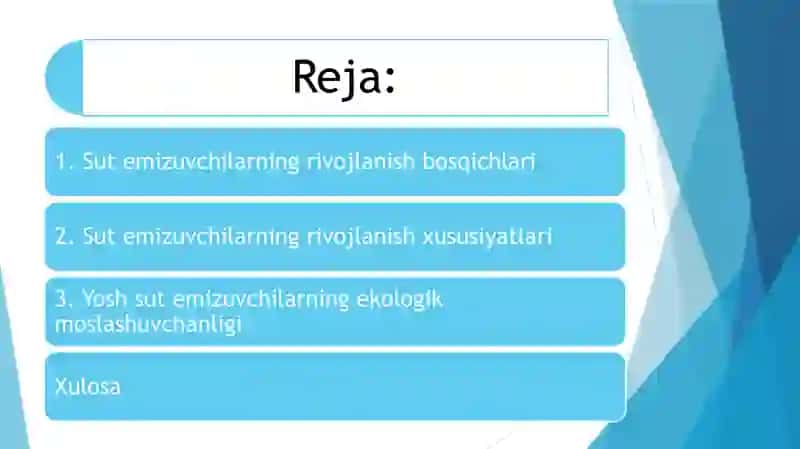 Sutemizuvchilarning individual rivojlanishi xususiyatlari 2